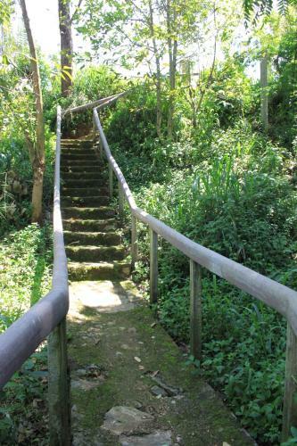 Hostal Jungletide