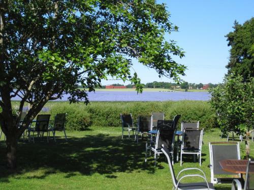 Hostal N�rebo G�rdshotell