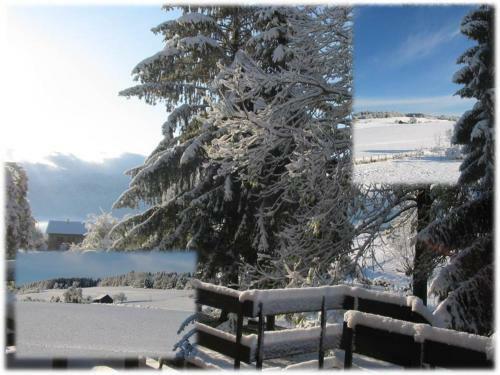 Apartamento Le Coin Des Marmottes