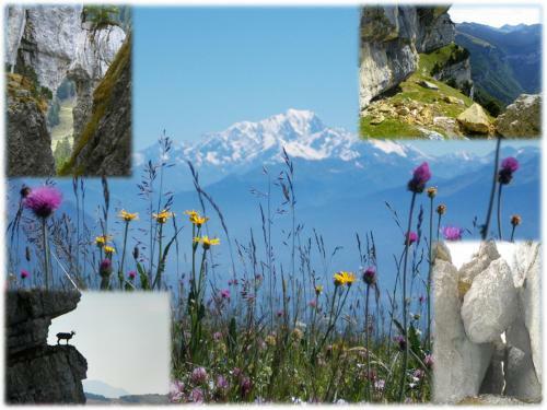 Apartamento Le Coin Des Marmottes