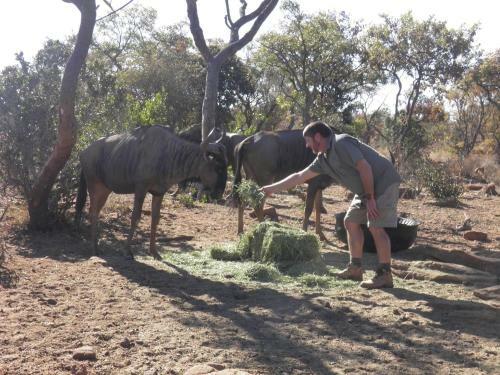 Lodge Olievenfontein Private Game Reserve