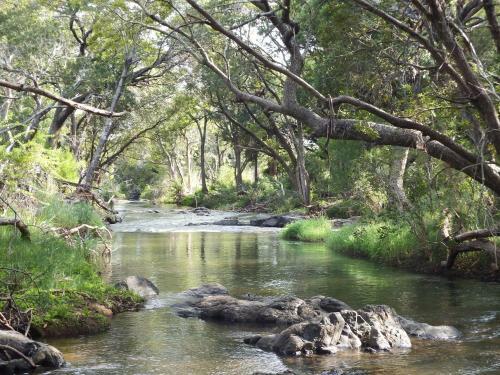 Hostal Blyde River Cabin Guesthouse