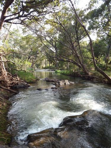 Hostal Blyde River Cabin Guesthouse
