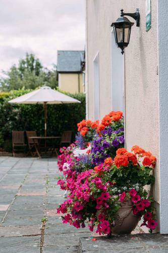 Clareville House B&B