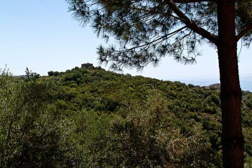 Apartamento I Tre Pini