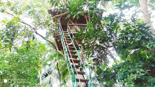 Bed & Breakfast Leisure Land
