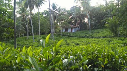 Bed & Breakfast Leisure Land