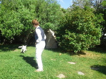 Agroturismo Locanda Tipica Sa Corte