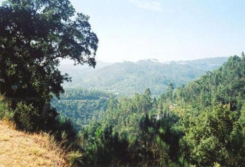 Hostal Mosteiro De S. Cristovao De Lafoes