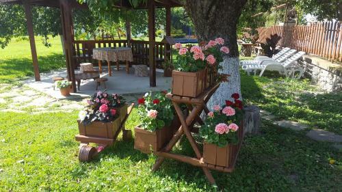 Hotel Nigovanka
