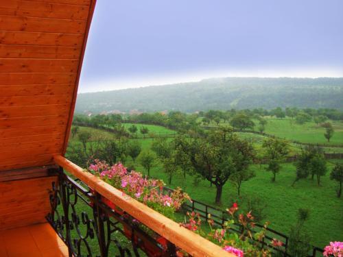 Hostal Pensiunea Printul Vlad