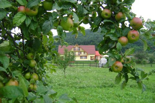 Hostal Pensiunea Printul Vlad