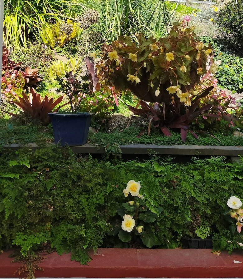 Hostal La Casa Te Puru Lodge