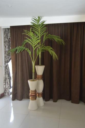 Hostal Lakeview Guest House