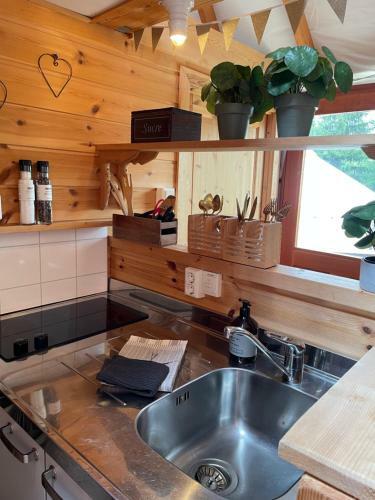 Lodge Halvorseth Yurts