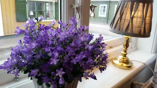Hostal Pensionat Ankarg�rden