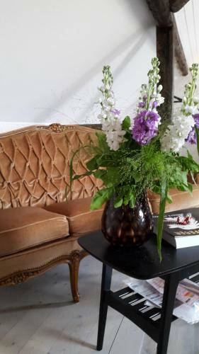Hostal Pensionat Ankarg�rden