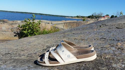 Hostal Pensionat Ankarg�rden