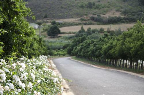 Hostal Bushmanspad Estate