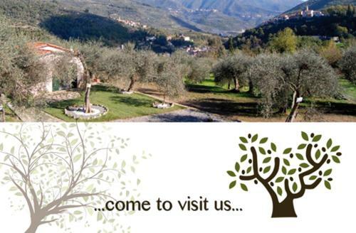 Hostal Casa Vacanze Gli Ulivi