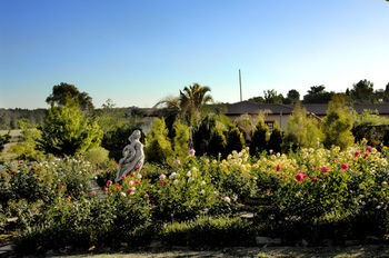 Agroturismo Amber Rose Country Estate