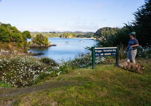 Bed & Breakfast Sails Ashore Lodge