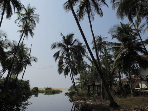 Ocean Green Kerala