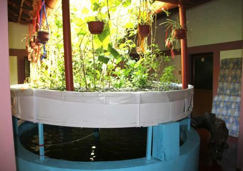 Ocean Green Kerala