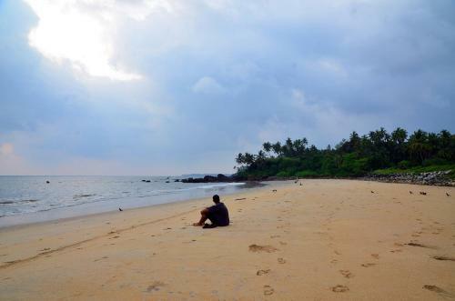 Ocean Green Kerala