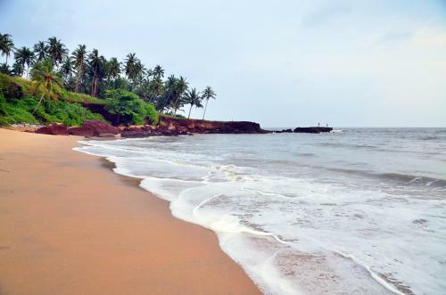 Ocean Green Kerala
