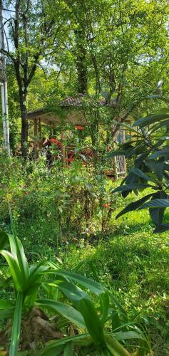 Hostal Villa Gelati
