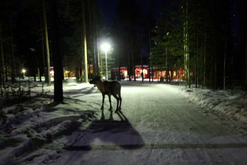 Hotel Ukonj�rven Holiday Village