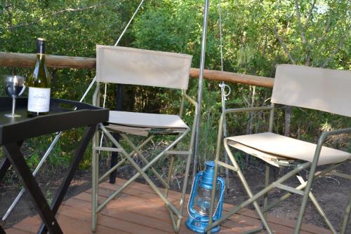 The Wild Olive Tree Camp