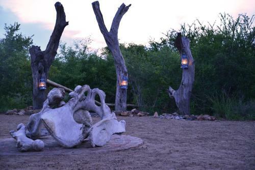 The Wild Olive Tree Camp