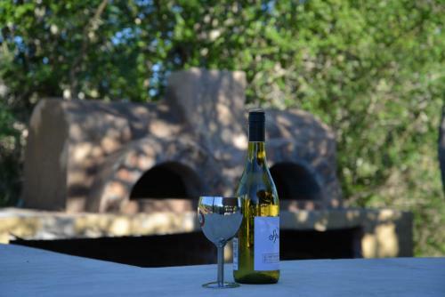 The Wild Olive Tree Camp