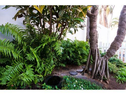 Hostal Flamingo Lodge