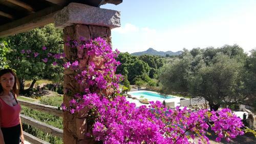 Agroturismo Agriturismo Desole