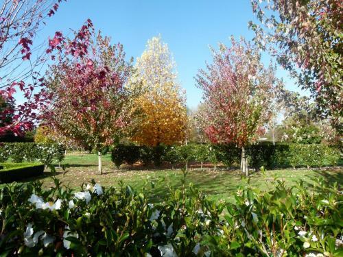 Bed & Breakfast Hadleigh Boutique Lodge