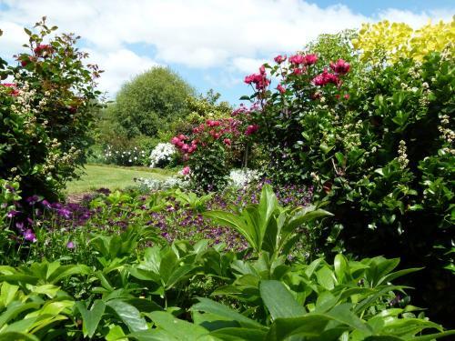 Bed & Breakfast Hadleigh Boutique Lodge