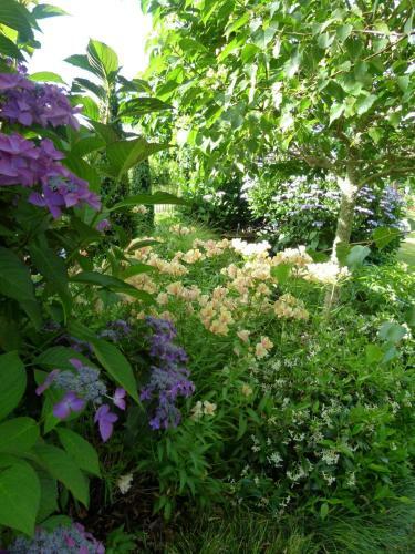 Bed & Breakfast Hadleigh Boutique Lodge