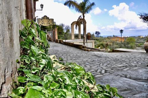 Agroturismo Tenuta Torchio Antico