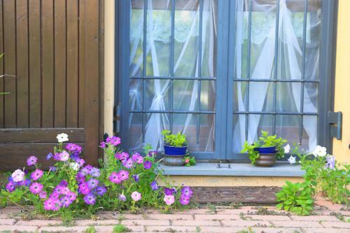 Agroturismo B&B Torricella