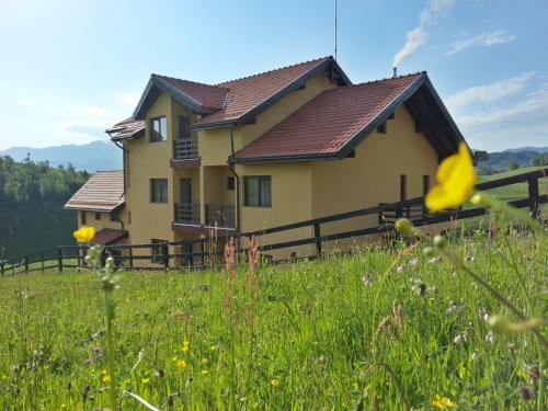Hostal Pensiunea Crai Nou