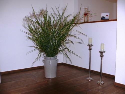 Hostal G�stehaus Fraune