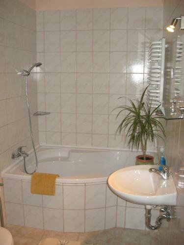 Hostal Napkorong Fogad� �s Vend�gh�z