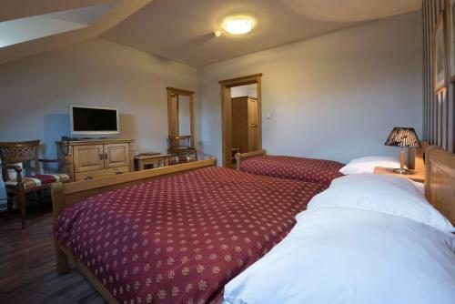 Hotel Chateau Krakovany