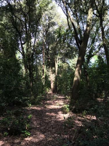 Agroturismo Il Broglino