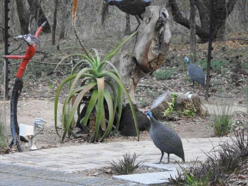 Hostal Birds Babble Self Catering Guesthouse