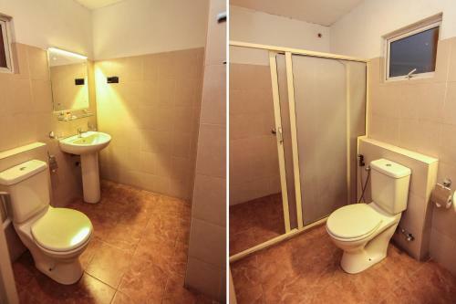 Hotel Alfred Court Accommodation