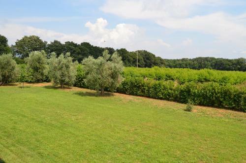 Agroturismo La Valle Dei Peschi